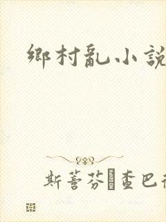 乡村乱小说