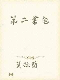 第二书包