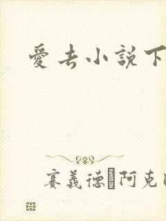 爱去小说下载网
