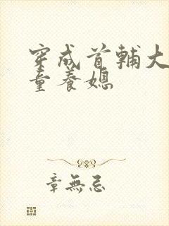 穿成首辅大人的童养媳