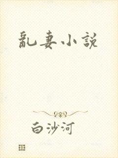 乱妻小说