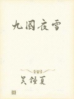 九国夜雪