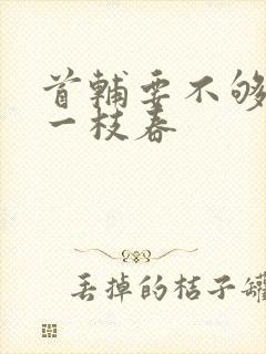 首辅要不够po一枝春