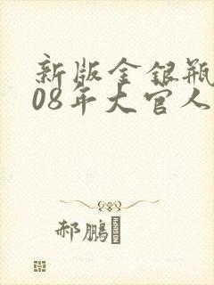 新版金银瓶2008年大官人