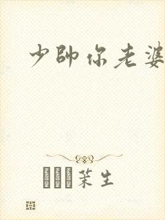 少帅你老婆