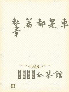 整篇都是车的文章