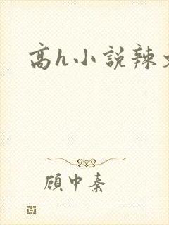 高h小说辣文