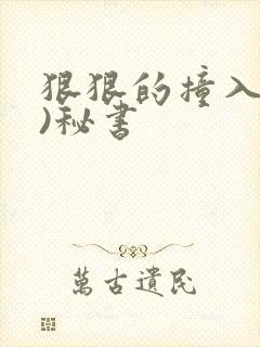 狠狠的撞入(h)秘书