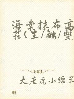 海棠抹布高岭之花(生/触/双)