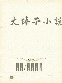 大棒子小说