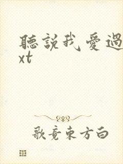 听说我爱过你txt