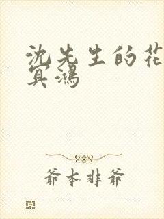 沈先生的花式调冥鸿