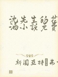 沈先生的花式调酒小说免费阅读