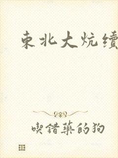 东北大炕续