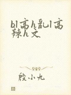 bl高h乱l高辣h文