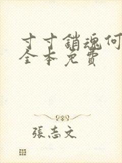 寸寸销魂何生祥全本免费