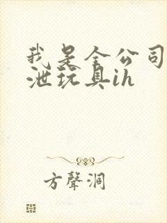 我是全公司的发泄玩具ih