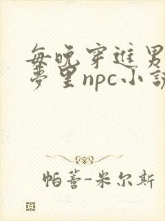 每晚穿进男神的梦里npc小说