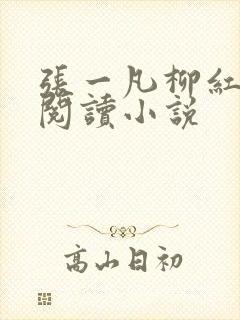 张一凡柳红免费阅读小说