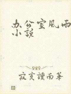 办公室风雨完整小说