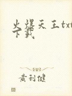 火爆天王txt下载