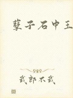 孽子石中玉