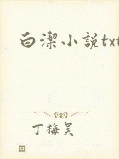 白洁小说txt