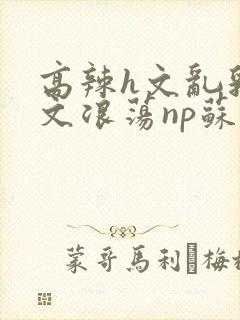 高辣h文乱乳h文浪荡np苏夏