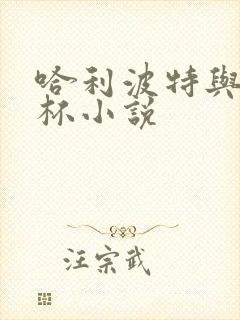 哈利波特与火焰杯小说