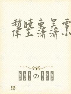 赵晓东吴雪晴郑伟王潇潇小说名字