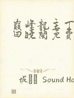 巅峰龙主丁长顺田晓兰免费阅读