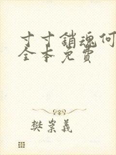 寸寸销魂何生祥全本免费