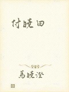 付晓田