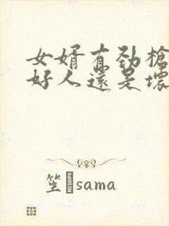 女婿有劲枪枪是好人还是坏人