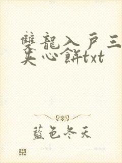 双龙入户三人行夹心饼txt