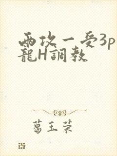 两攻一受3p双龙H调教