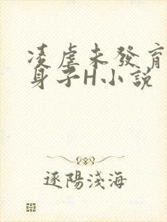 凌虐未发育的小身子H小说