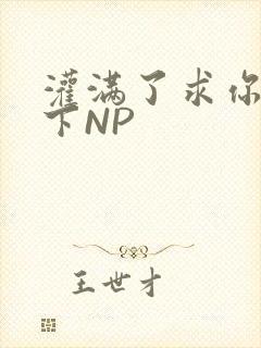 灌满了求你们停下NP