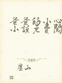 爸爸的小心肝儿小说免费阅读