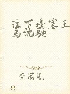 往下边塞玉器骑马沈驰