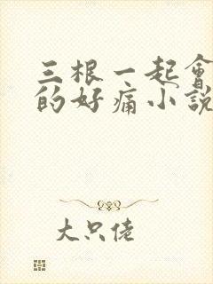 三根一起会坏掉的好痛小说