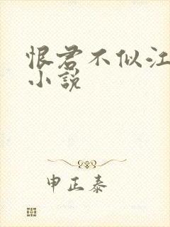 恨君不似江楼月小说