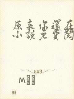 原来你还在这里小说免费阅读