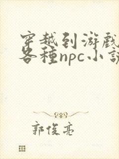 穿越到游戏里和各种npc小说