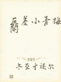 反差小青梅笔趣阁