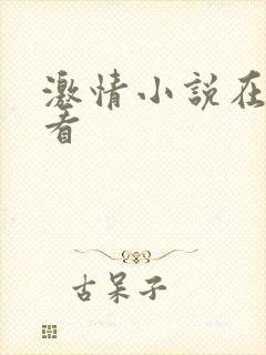 激情小说在线观看