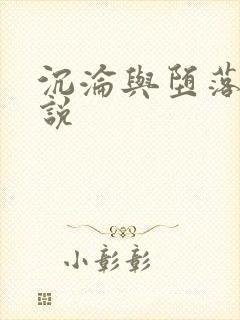 沉沦与堕落的小说