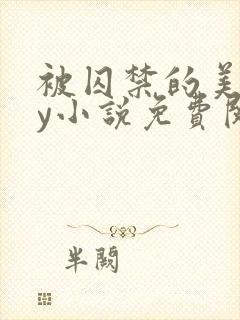 被囚禁的美人by小说免费阅读