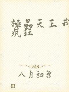 极品天王 我本疯狂