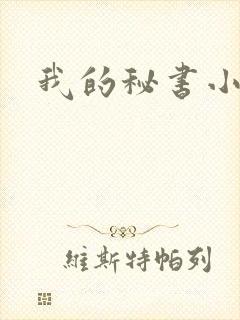 我的秘书小姐